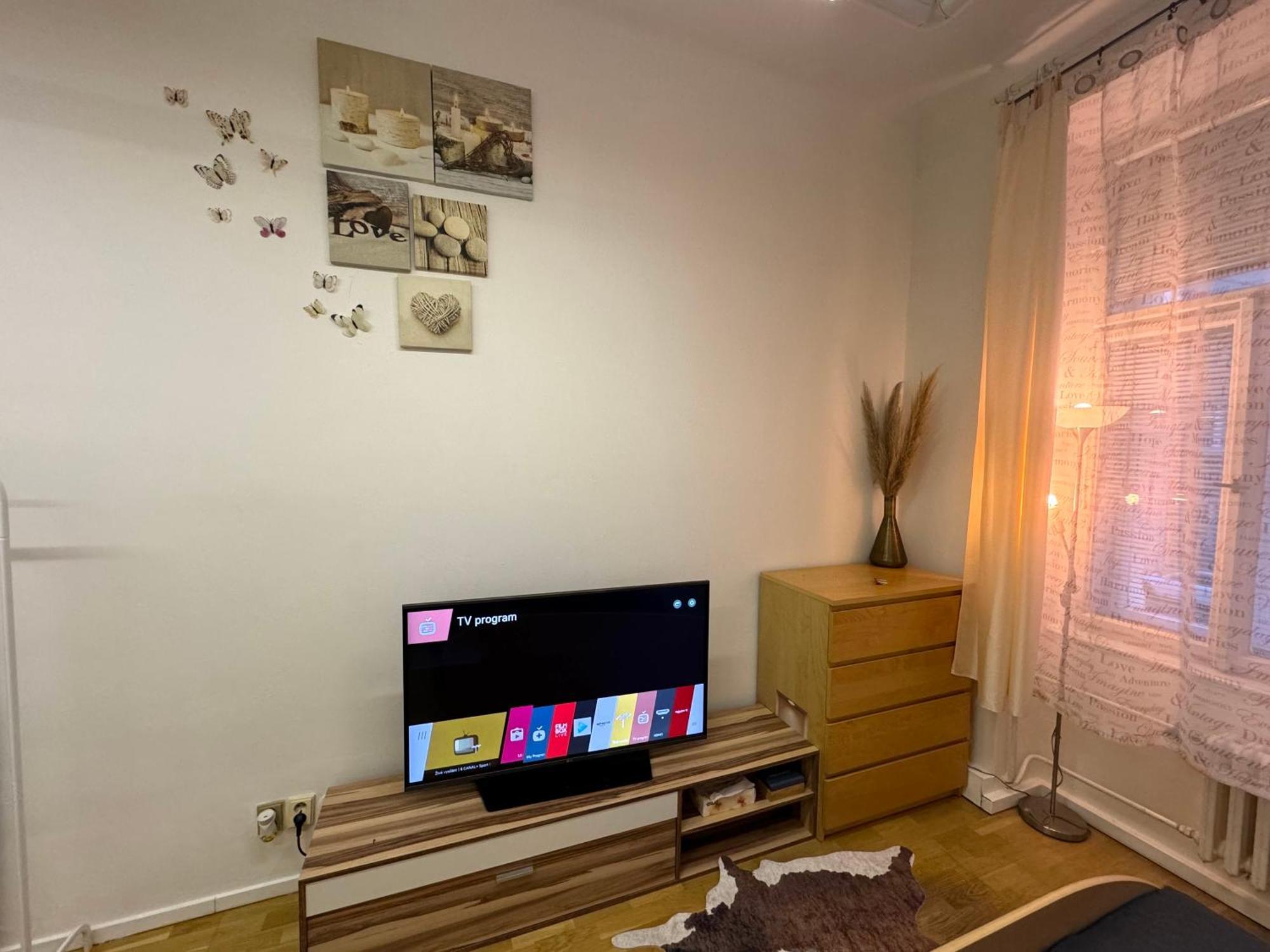 Fantastic In The Center Apartment